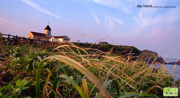 Jeju Island...ݍu... ˼_