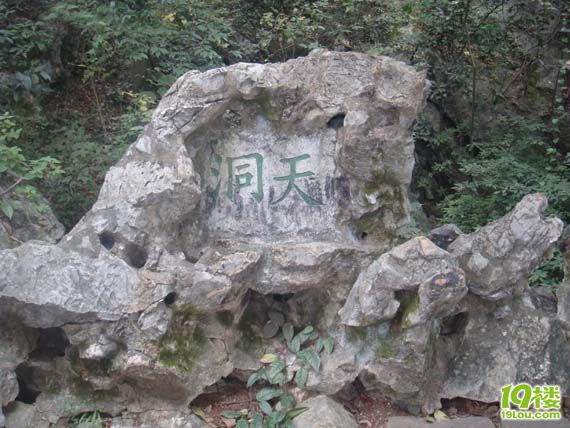 DSC07827.jpg