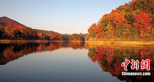 杭州千岛湖丹枫红似火秀色可餐