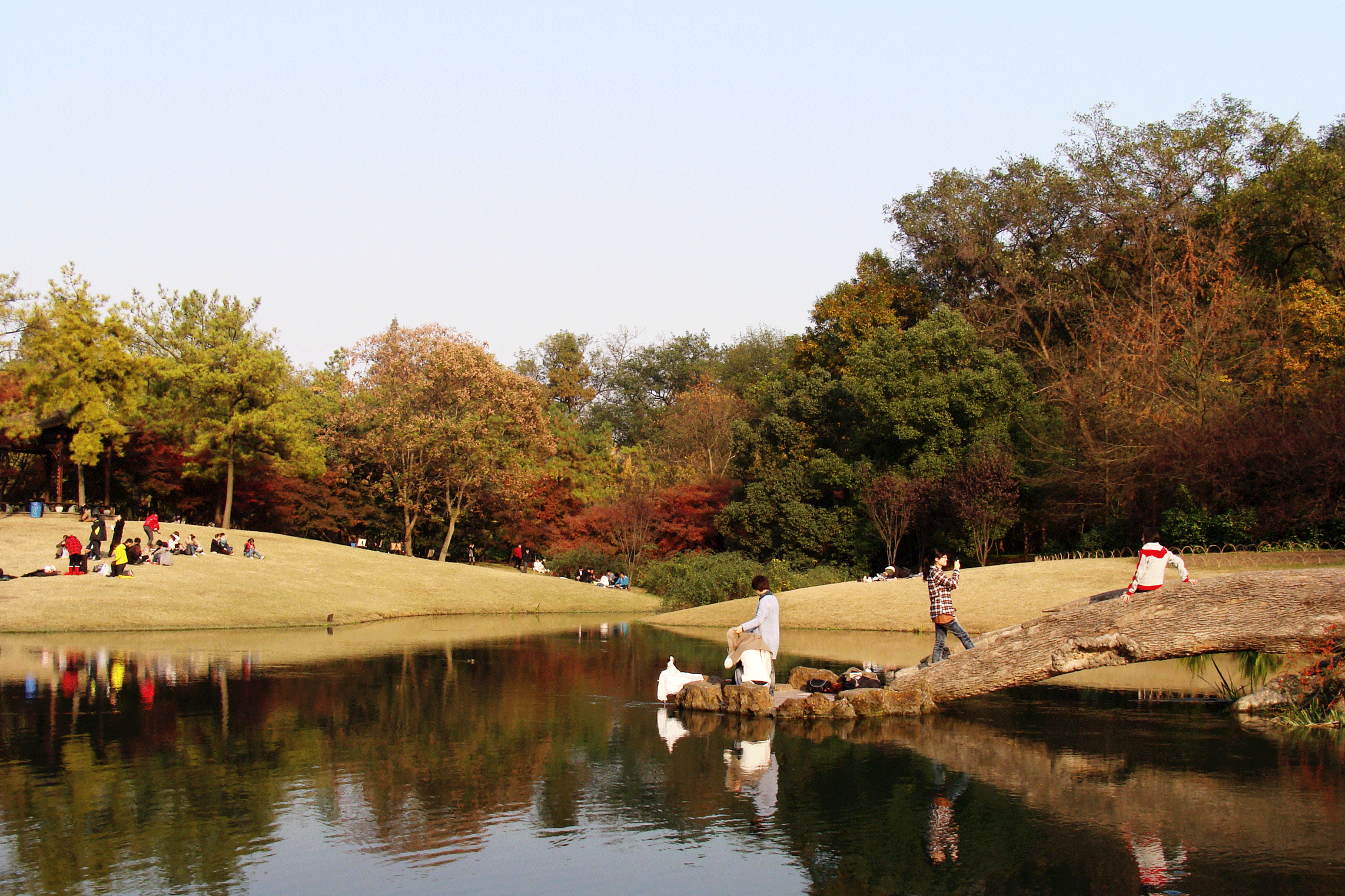 浪漫花园无"艳遇"