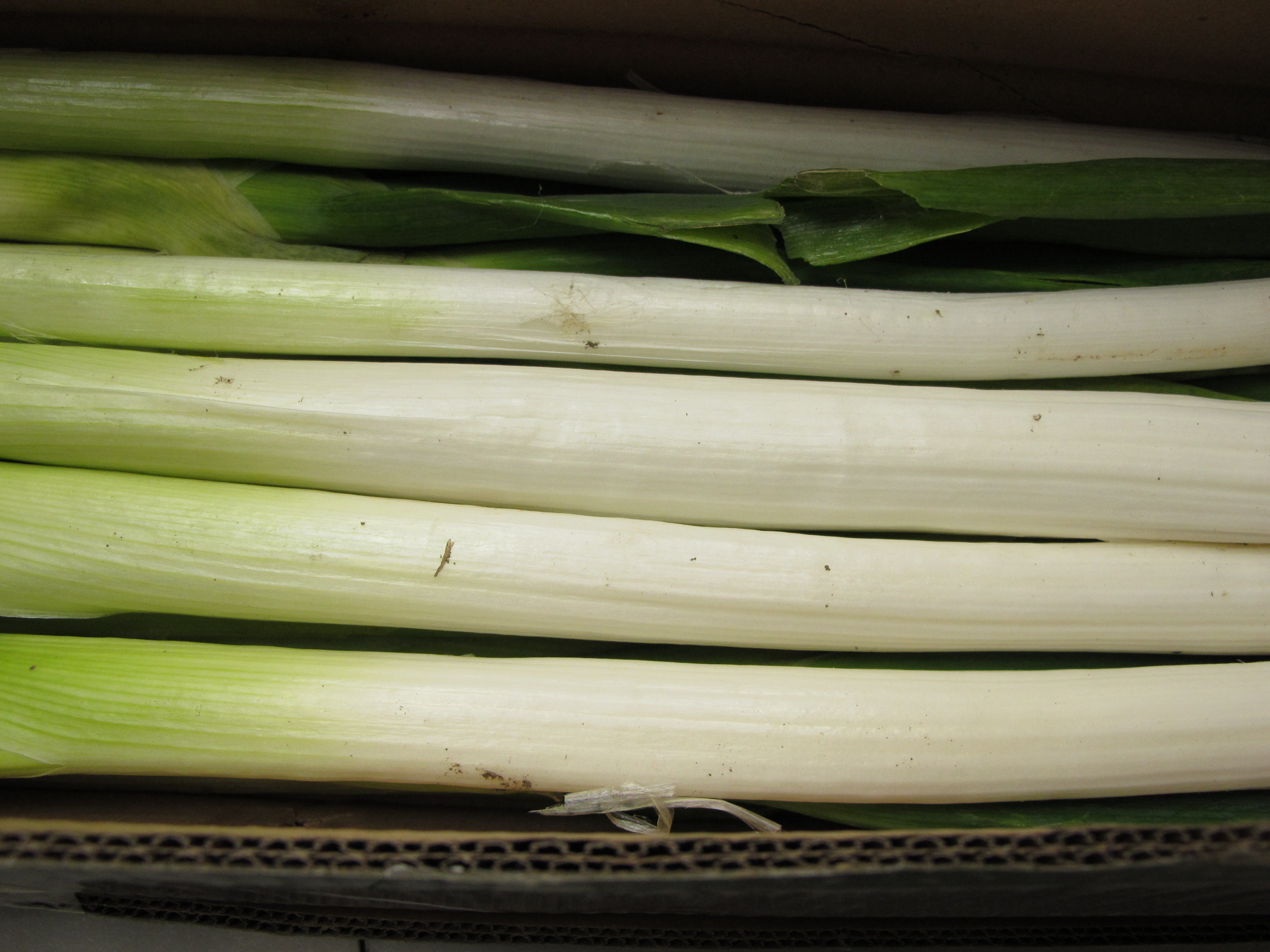 单位发的福利山东胶州白菜,章丘大葱各一箱便宜出!