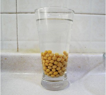 争做洗发护发达人··健康秀发看我的