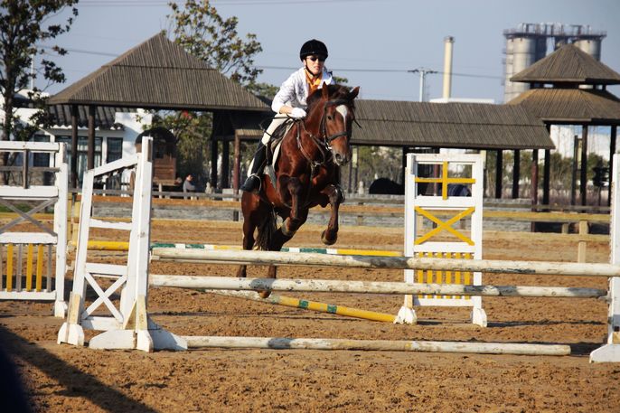 20101218上海松声马术障碍训练-活动归来-马术俱乐部-杭州19楼