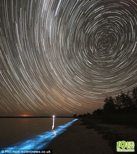 微生物作怪:澳洲湖泊夜間發(fā)出藍色熒光