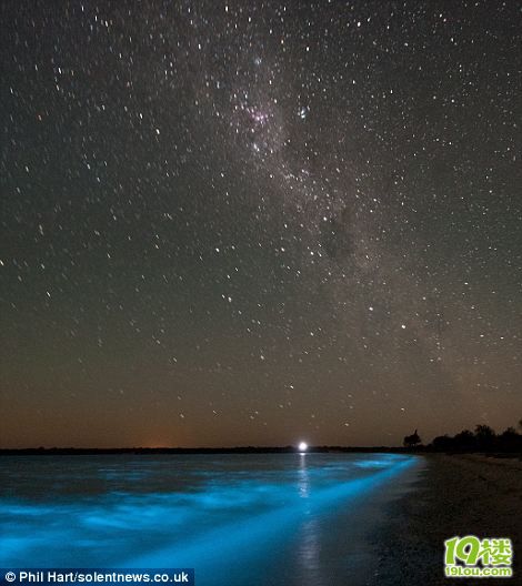微生物作怪:澳洲湖泊夜間發(fā)出藍色熒光