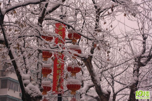 春节过年下雪心情图片