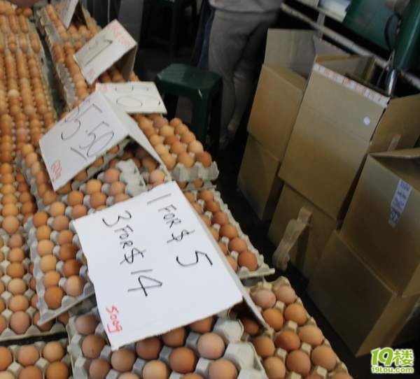 澳大利亚二手车100澳币自驾2个月-夫妻同心流