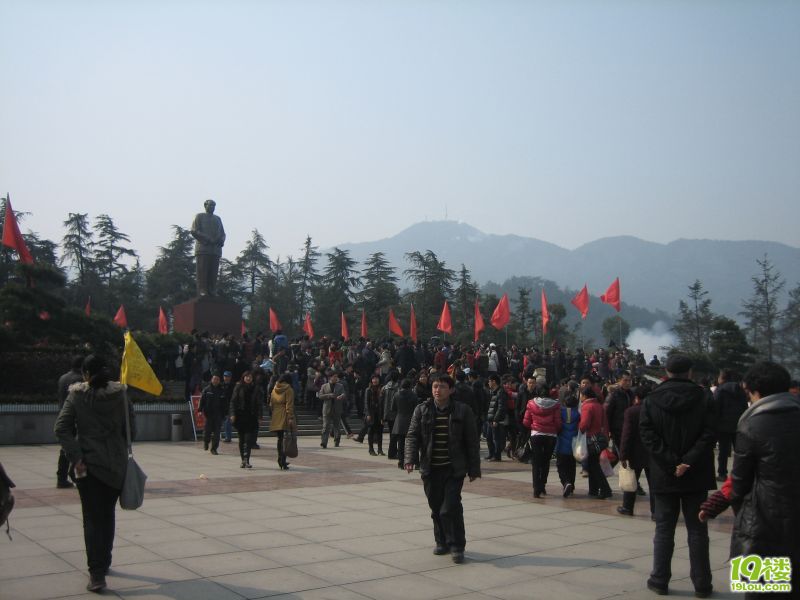 給主席拜年