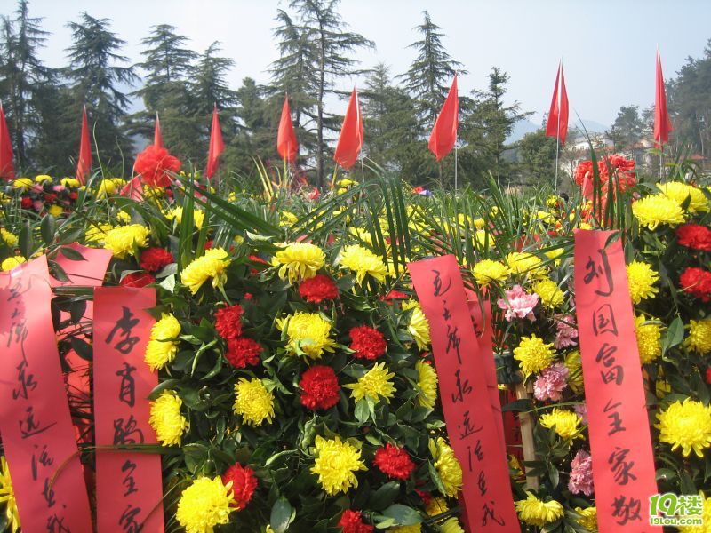 給主席拜年