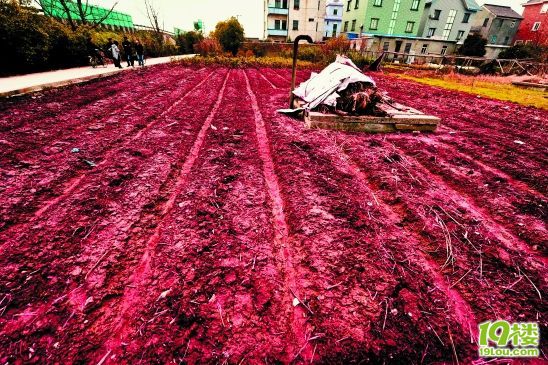 红粉惊魂24小时