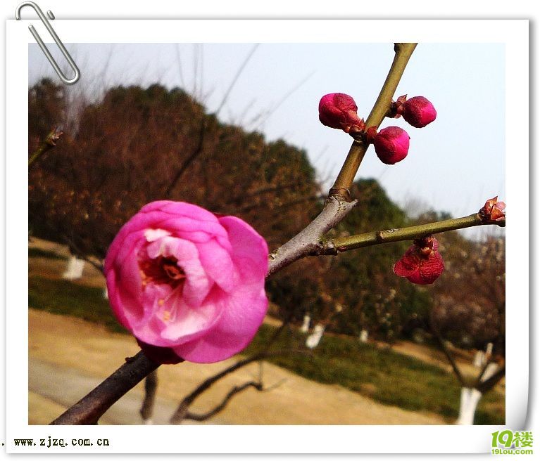 杭州好玩滴地--杭州宋城