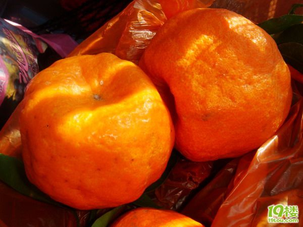 【8隊(duì)】小貓美食體驗(yàn)之旅—昆明、大理の美食如鮮花一樣繁多