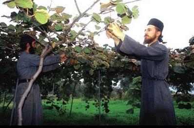 地球最后一个纯男人隐居地