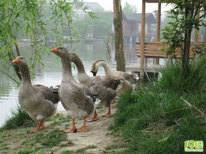 4月16公司活动40人左右,有好建议吗?