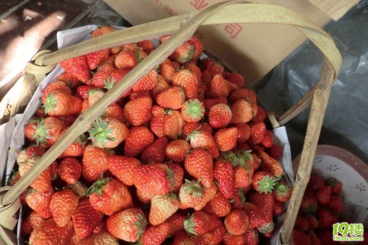 4月16公司活动40人左右,有好建议吗?