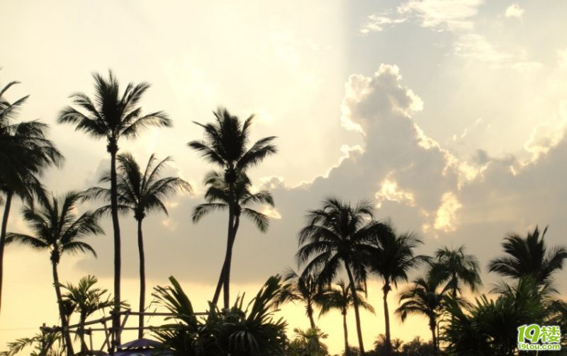 新加坡四日自由行-旅游先遣队-杭州19楼