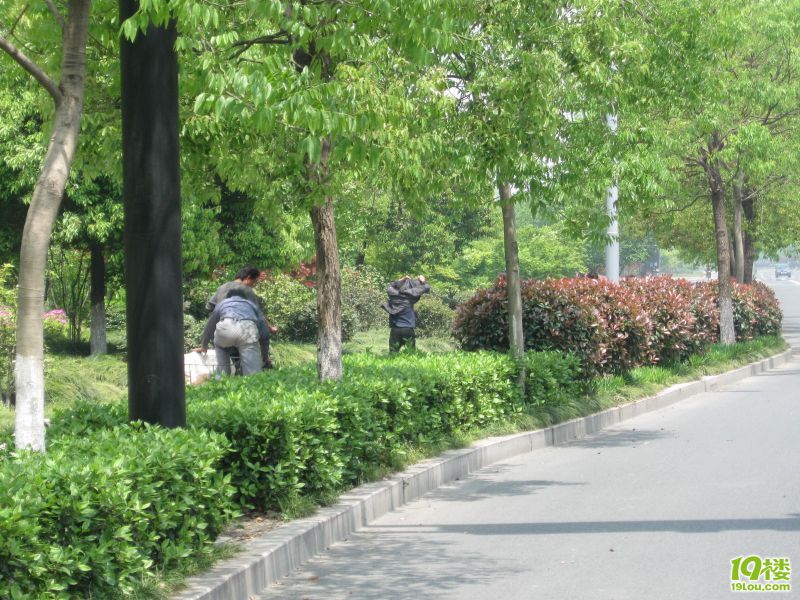 今天在钱江路打110我晕了