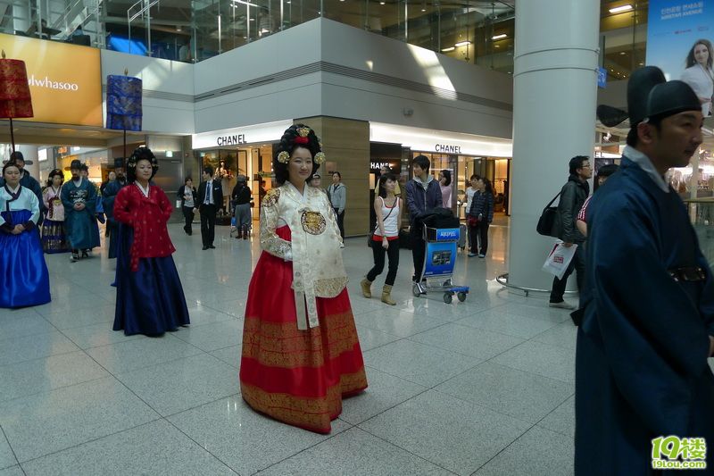 樱花四月 首尔八日深度游 吃撑了回来 要减肥！（完结）