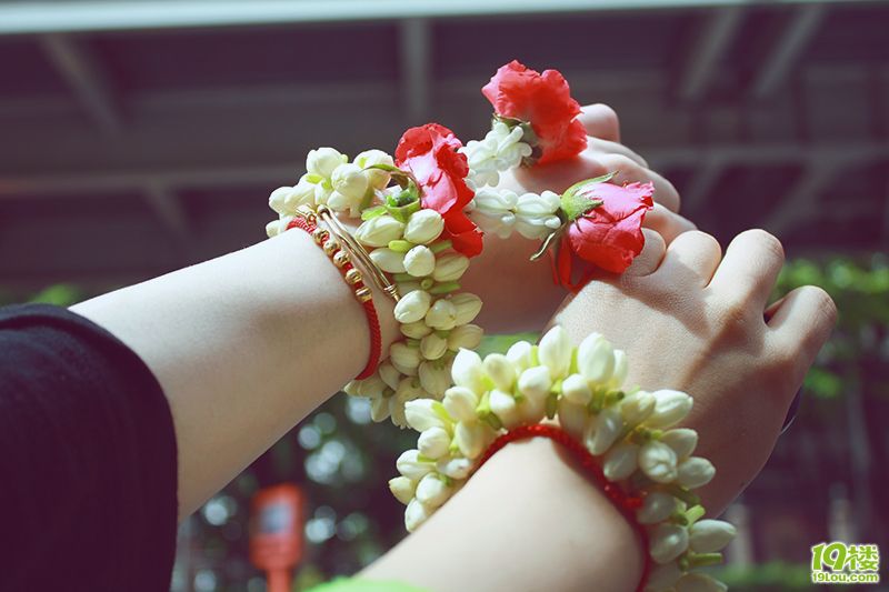 史無前例的泰好玩~曼谷、芭提雅、沙美自由行