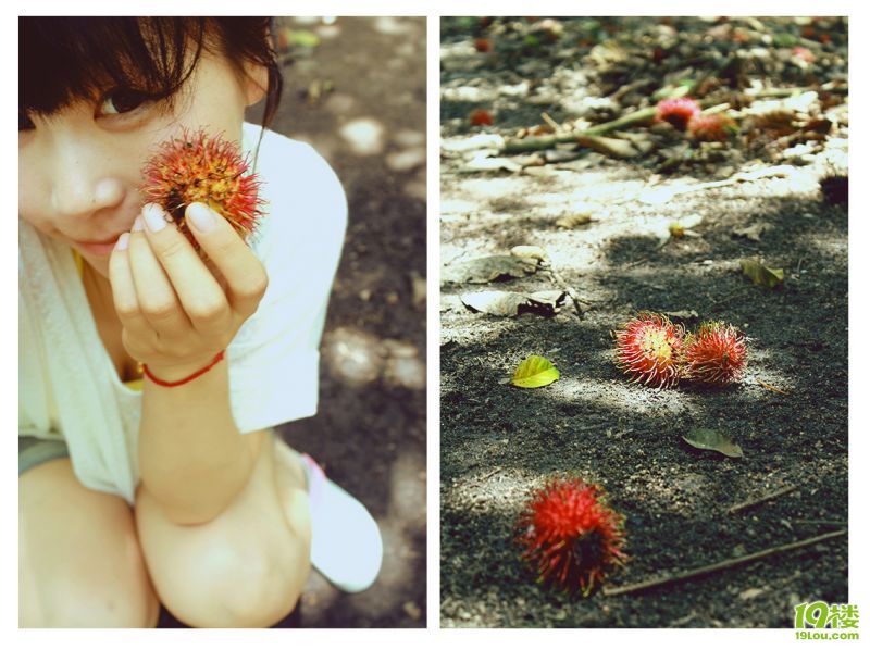 史無前例的泰好玩~曼谷、芭提雅、沙美自由行