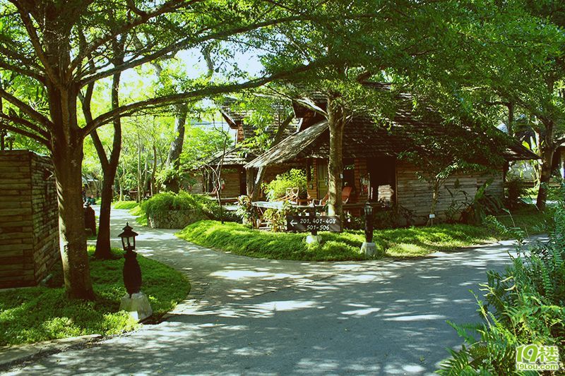 史無前例的泰好玩~曼谷、芭提雅、沙美自由行