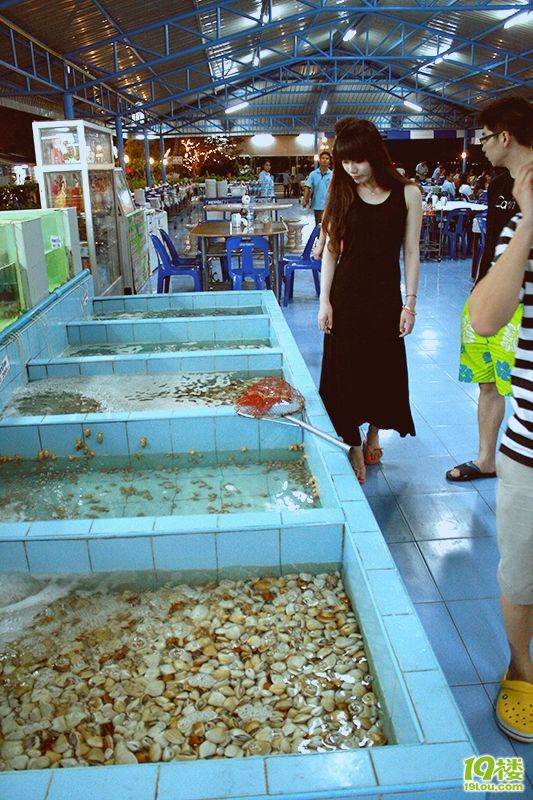史無前例的泰好玩~曼谷、芭提雅、沙美自由行