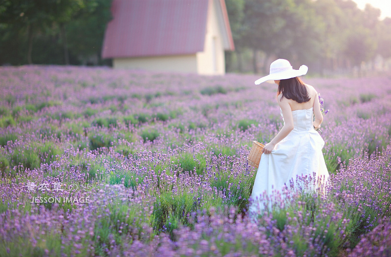 【jesson image】紫色初夏·薰衣草人像