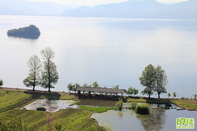 我的丽江记忆(5.25~5.30丽江古城/玉龙雪山/拉市海/泸沽湖自由行)
