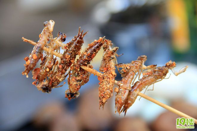 我的丽江记忆(5.25~5.30丽江古城/玉龙雪山/拉市海/泸沽湖自由行)