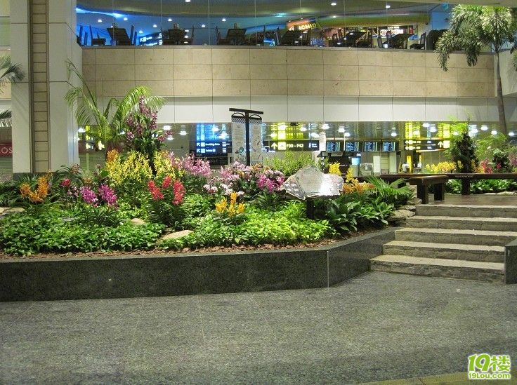 【水下相机D10可借】天堂-马尔代夫ROBINSON之旅,详尽攻略及美图
