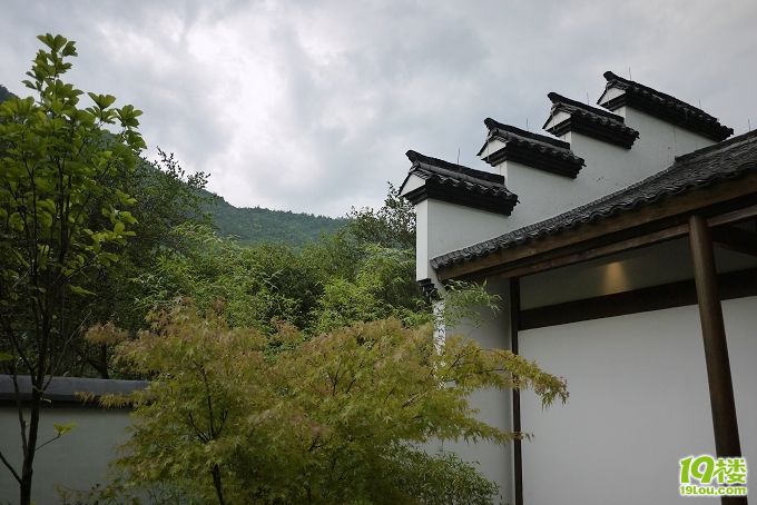 P1030583.jpg