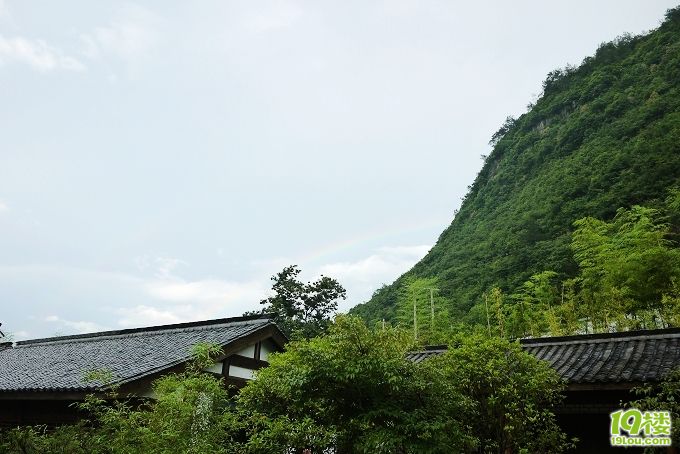 P1030690.jpg