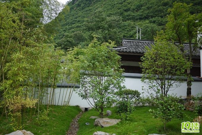 P1030640.jpg