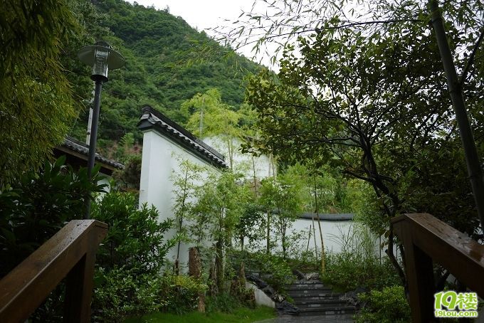 P1030643.jpg
