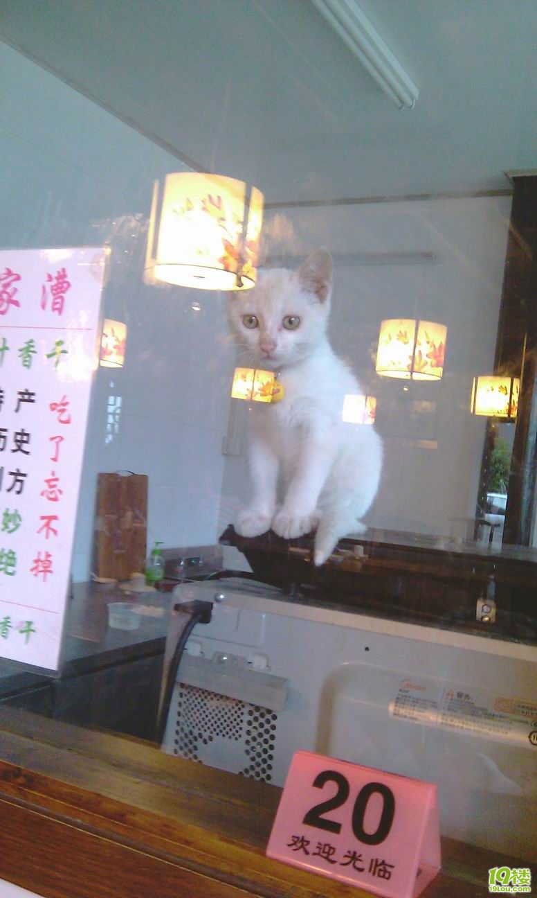 Resize of IMAG1145.jpg