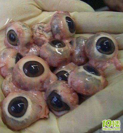 超级恶心,啥都没有,只剩下了一只眼球!