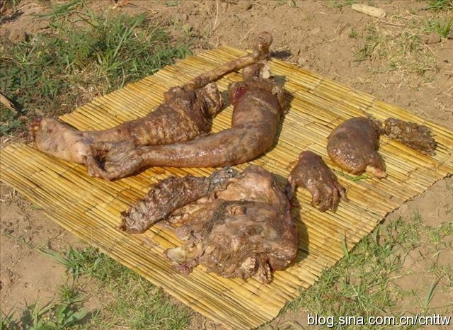 鳄鱼被剥皮惨状太惊悚了