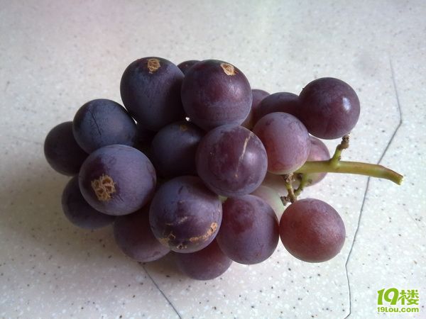 葡萄1.jpg