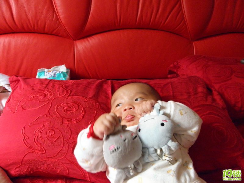 小帅哥图片秀(有裸照哦)-妈咪宝宝秀-杭州19楼