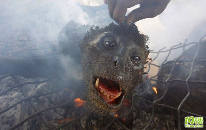 非洲非法野味市场中残忍一幕:炭火烧猴头(高清