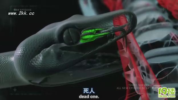 D(zhun)һǧN8