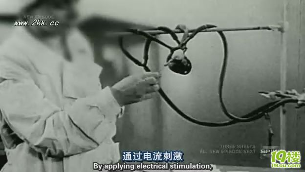 D(zhun)һǧN8