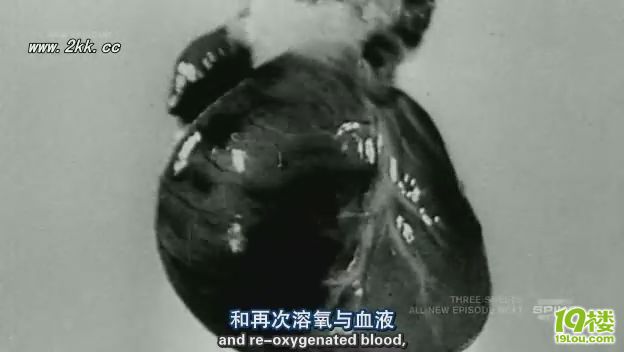 D(zhun)һǧN8