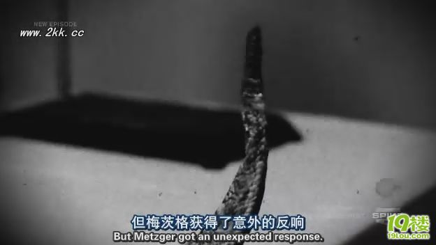 D(zhun)һǧN8