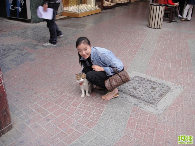 阿拉伯豪華游輪游1