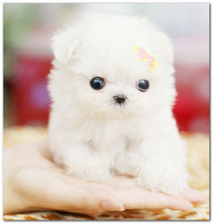 哈希娱乐- 哈希游戏平台- 哈希游戏官方网站5个最挣钱没人干的生意一年收入18-20万比打工挣钱多了！