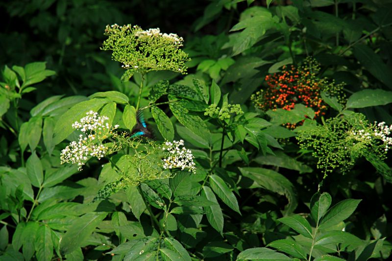 img_7240 - 副本.jpg