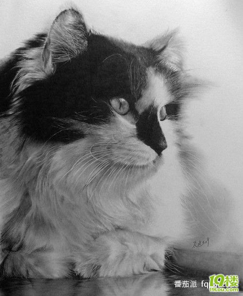 比照片还真实的铅笔画