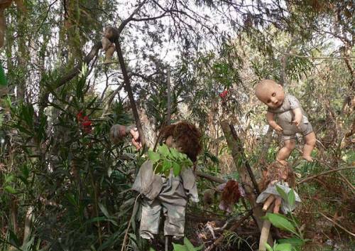 令人毛骨悚然的诡异娃娃岛 瘆人