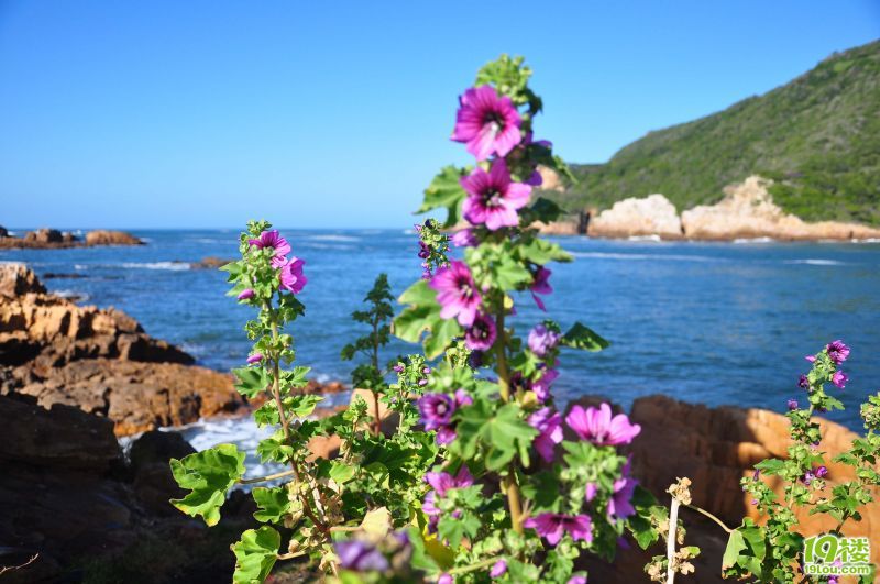 “彩虹国度”11天南非自驾游（克鲁格国家公园+花园大道+开普敦）